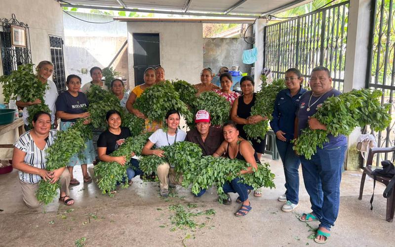 Familias fortalecen su alimentación con productos locales