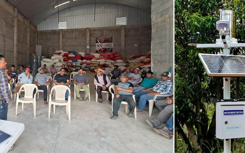 Tecnología agroclimática fortalece a pequeños caficultores de Huehuetenango
