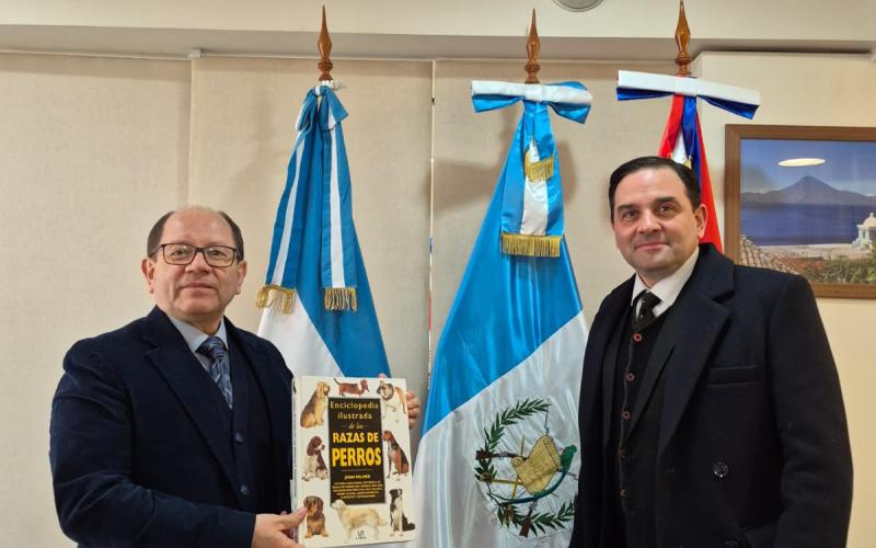 nota de prensa