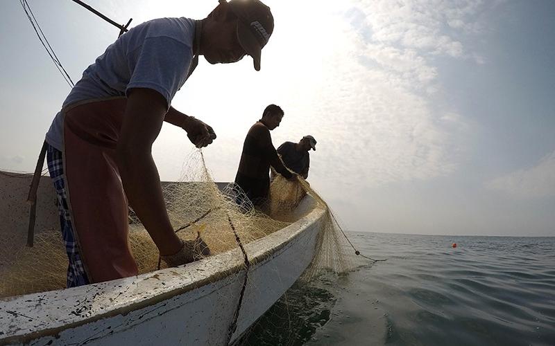 1 de julio: Día del Pescador y Acuicultor