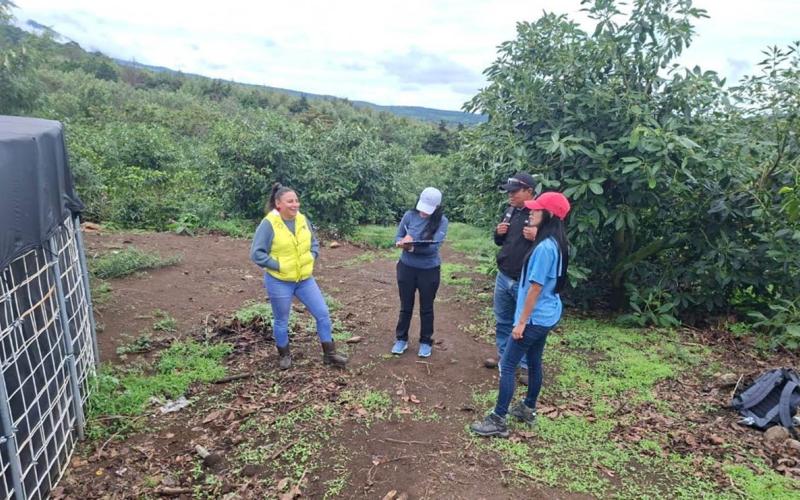 Agricultores de Chimaltenango captan agua de lluvia en reservorios para enfrentar épocas de sequía