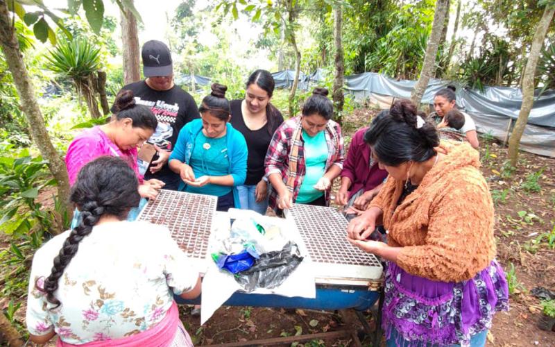 Agricultores de Jalapa fortalecen la producción de hortalizas con asistencia técnica en semilleros