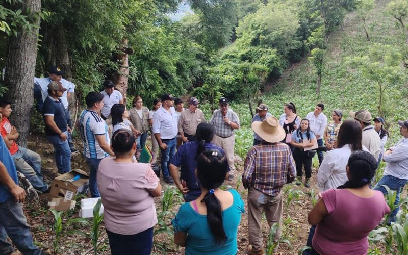 Alianza interinstitucional impulsa la productividad agrícola en Chiquimula