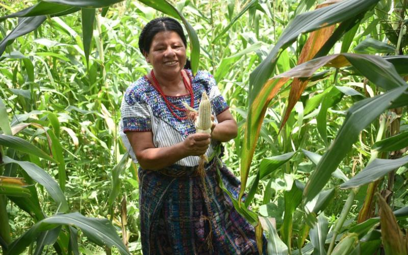 MAGA Podcast: El Seguro Agropecuario