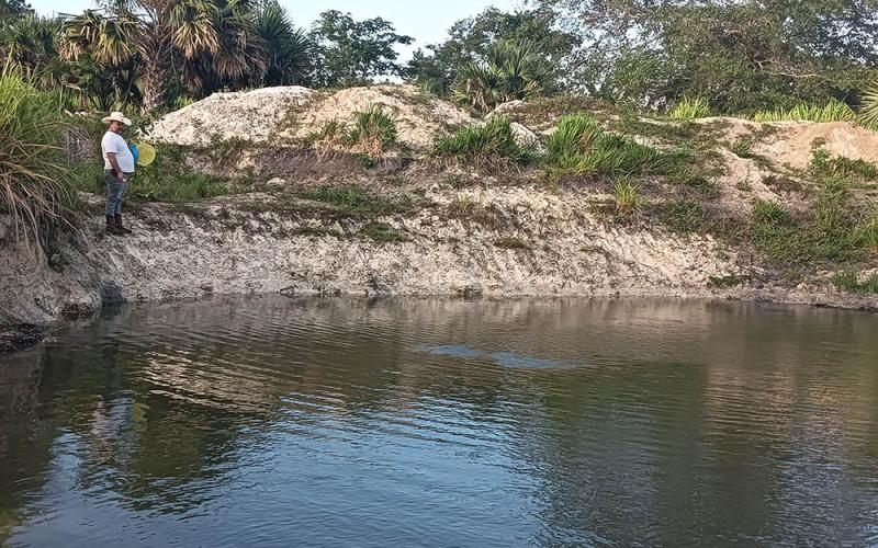 Asistencia técnica impulsa mejoras en cultivo de tilapia