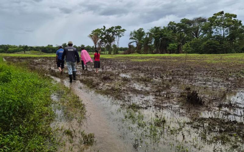Lluvias previstas favorecerán la recuperación de la humedad en los suelos
