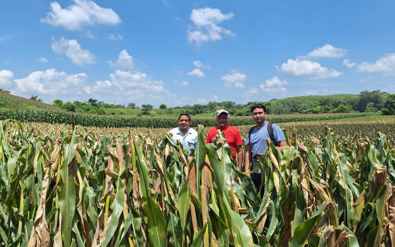 Avanza el registro de agricultores en sectores de la parte alta de Retalhuleu 