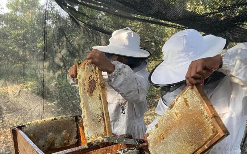 Buenas prácticas fortalecen competitividad de productores en Retalhuleu