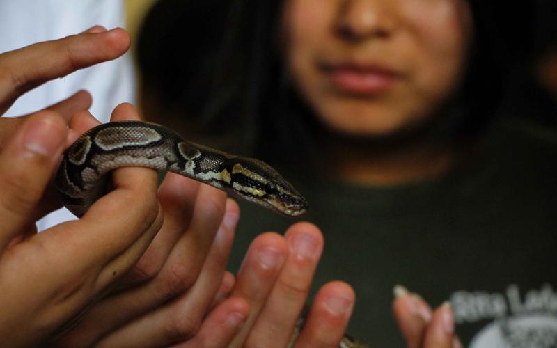 Residentes de Tejiendo Sueños conocen sobre el cuidado de la flora y fauna de Guatemala