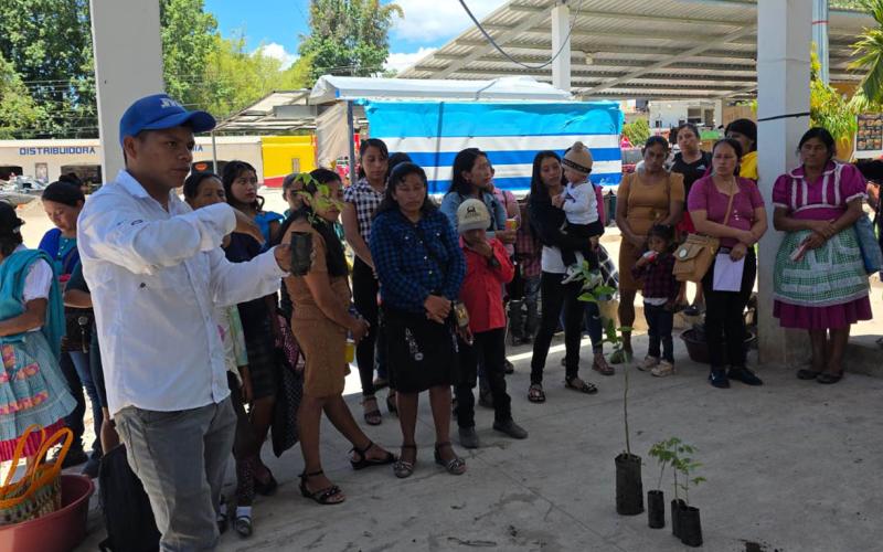 Caficultores de Olopa fortalecen sus unidades productivas con la entrega de árboles forestales y frutales