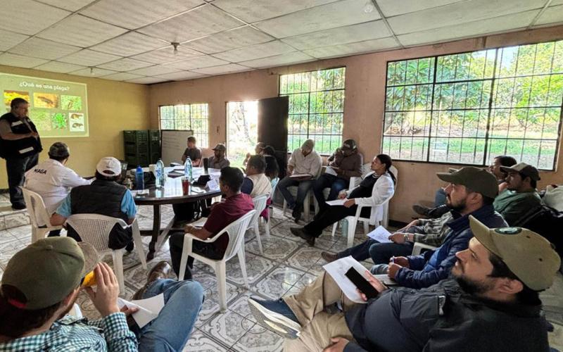 Capacitan a extensionistas en control de plagas y toma de muestras
