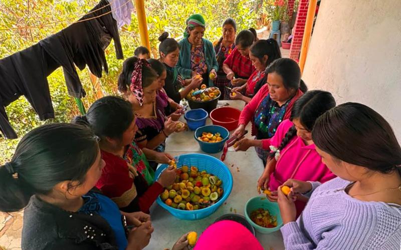 Capacitan a mujeres de Huitán en conservación de alimentos y elaboración de almíbar