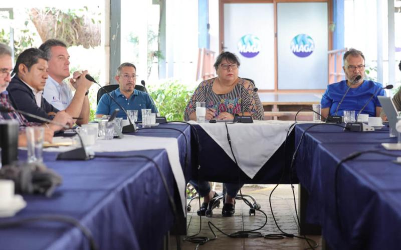 Fortalecen medidas para mantener a Guatemala libre de influenza aviar