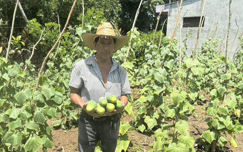 Cosecha de huerto comunal fortalece seguridad alimentaria de familias de San Francisco Zapotitlán 