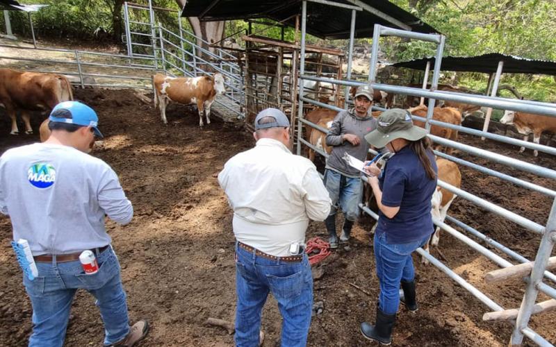 Crean el SINART para el registro y control sanitario para las cadenas pecuaria, acuícola y apícola