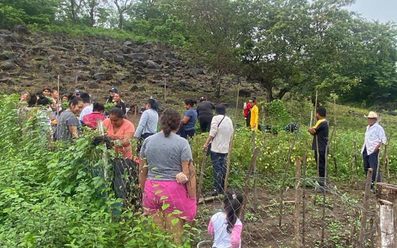 Cultivos de 96 municipios podrían ser afectados por el calor y lluvias intensas