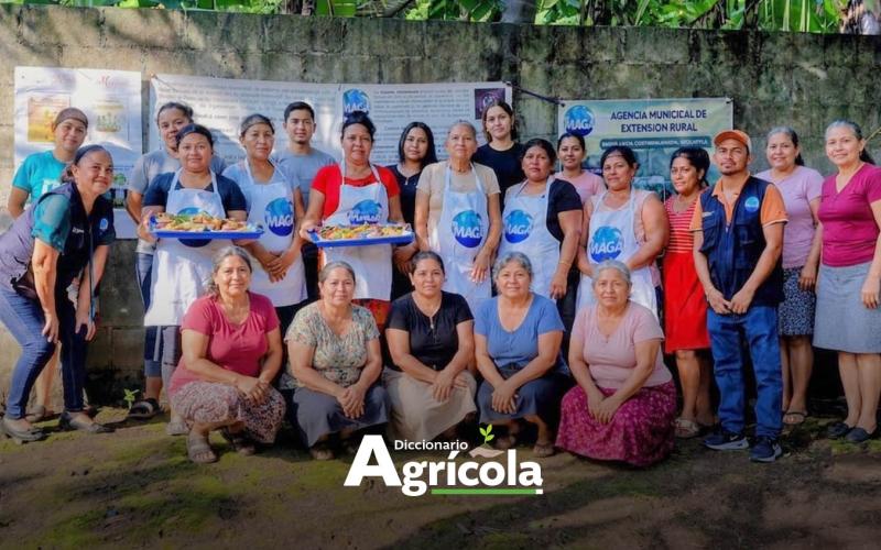 Diccionario Agrícola: Agencia Municipal de Extensión Rural (AMER)