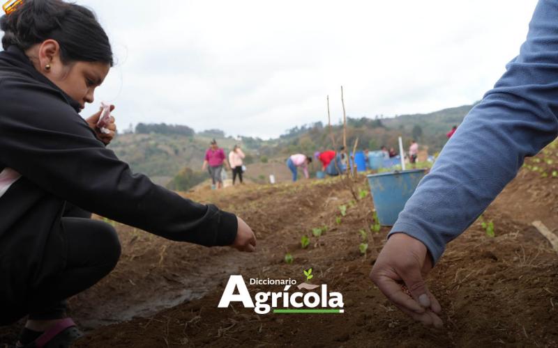 Diccionario Agrícola: Metodología Aprender-Haciendo