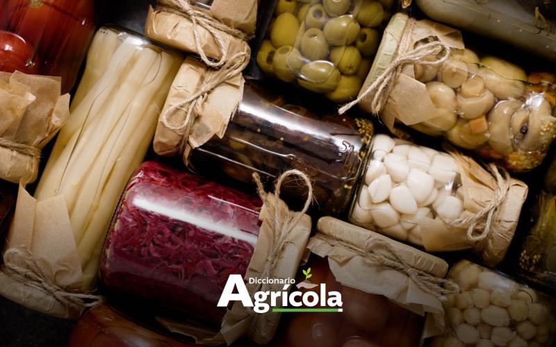 Diccionario Agrícola: Elaboración de Conservas