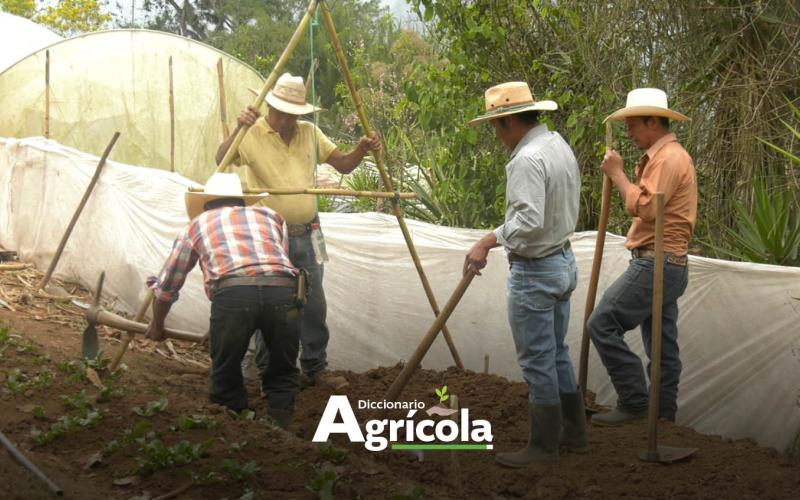 Diccionario Agrícola: Nivel en A