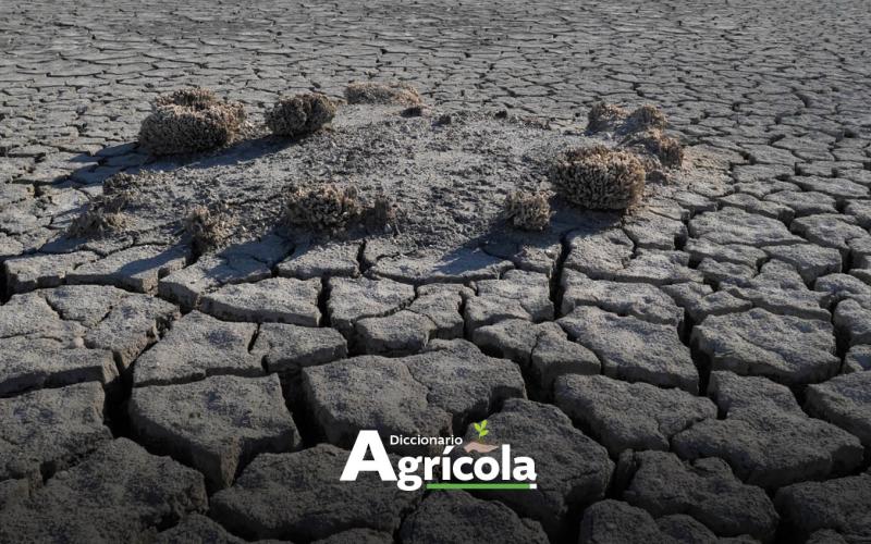Diccionario Agrícola: Resiliencia Climática