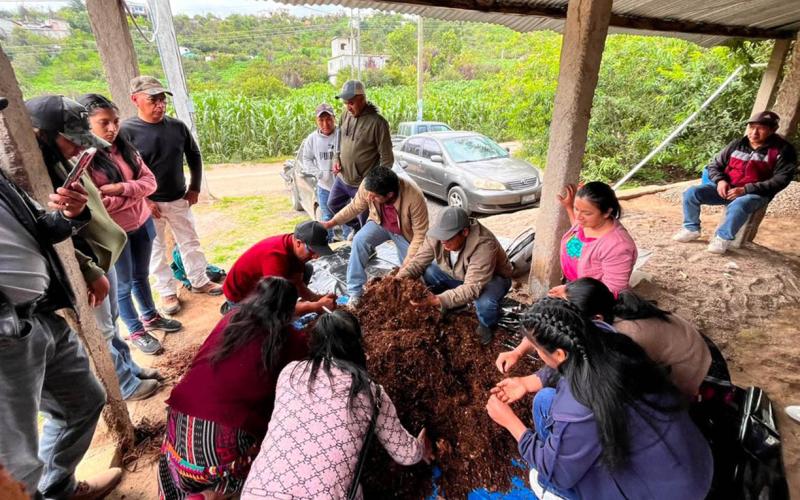 Organizaciones rurales avanzan en la producción de bioinsumos agroecológicos