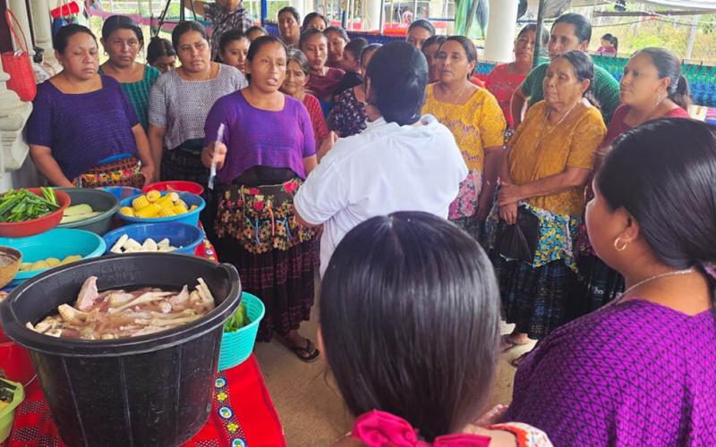 Diversificación de cultivos fortalece seguridad alimentaria en Sayaxché
