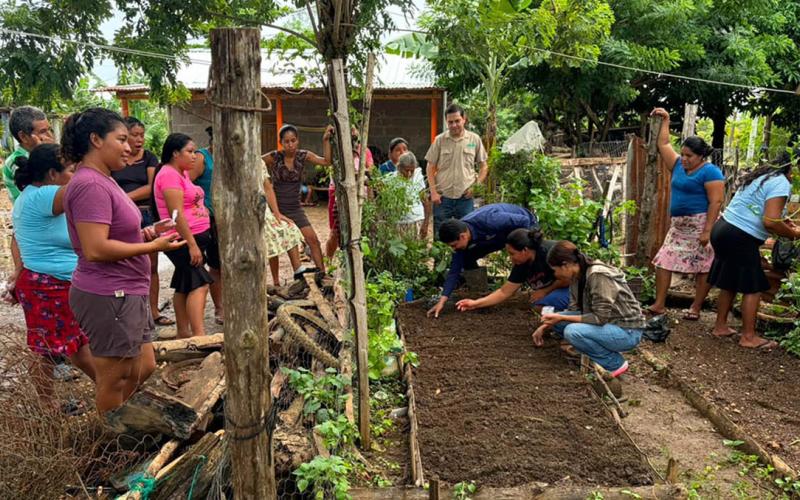 Establecen huertos familiares en Las Cruces, Petén