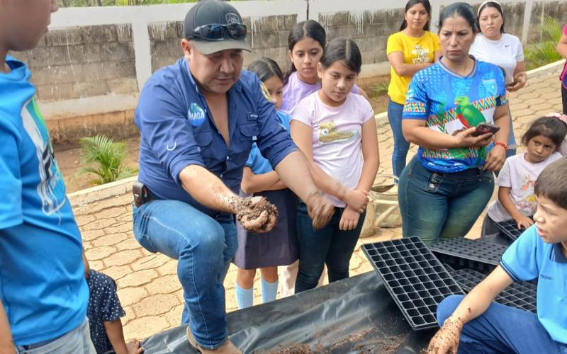 Estudiantes se involucran en la siembra de pilones para incentivar la agricultura escolar 