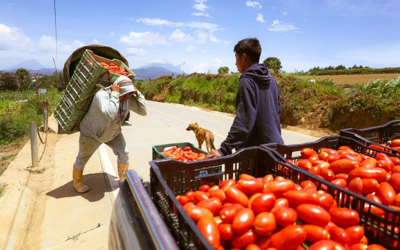 Nuevo camino mejora la vida en Santa Cruz Balanyá