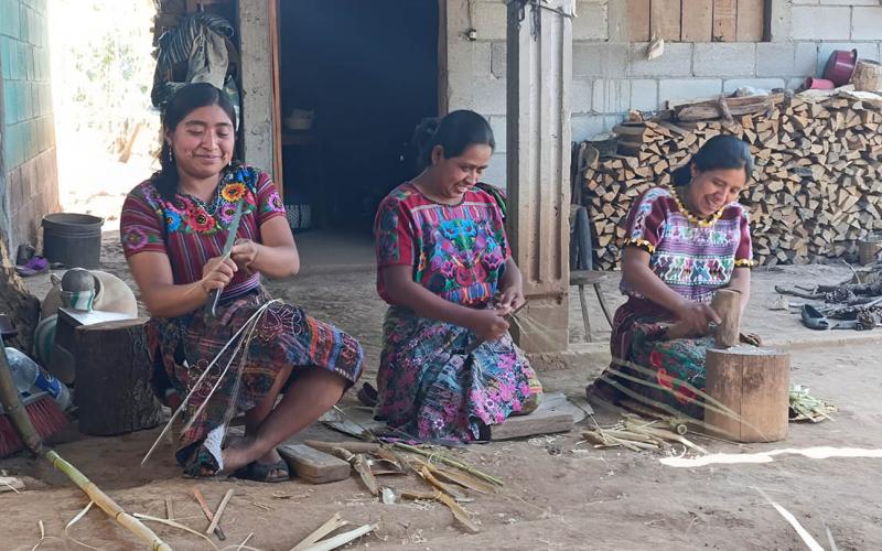 Conozca el ciclo de gestión y ejecución de proyecto ante FONAGRO