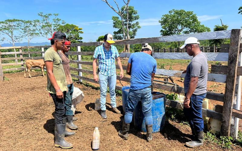 Fortalecen capacidades pecuarias de productores bovinos en Alta Verapaz
