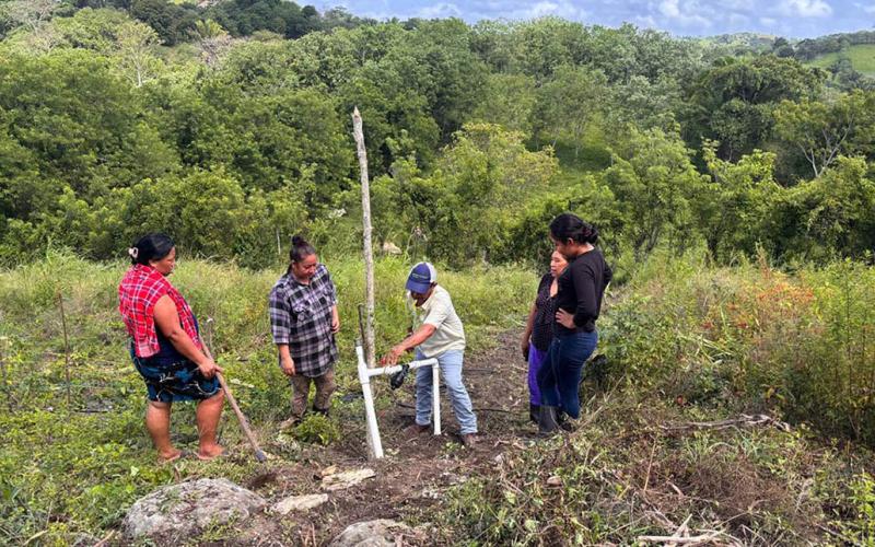 Fortalecen la producción de hortalizas en San Luis, Petén