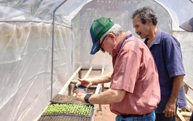 Fortalecen la viticultura en Zacapa