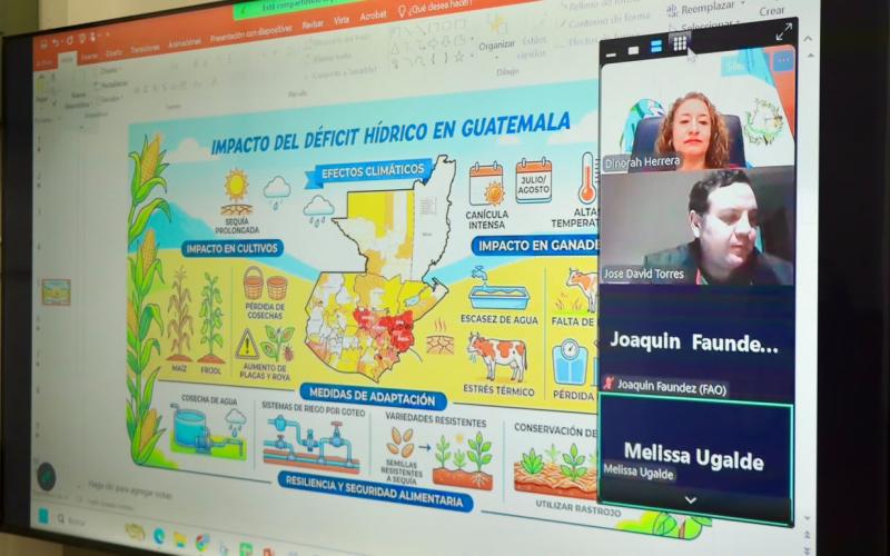 Guatemala comparte experiencia en acciones anticipatorias ante el fenómeno de El Niño
