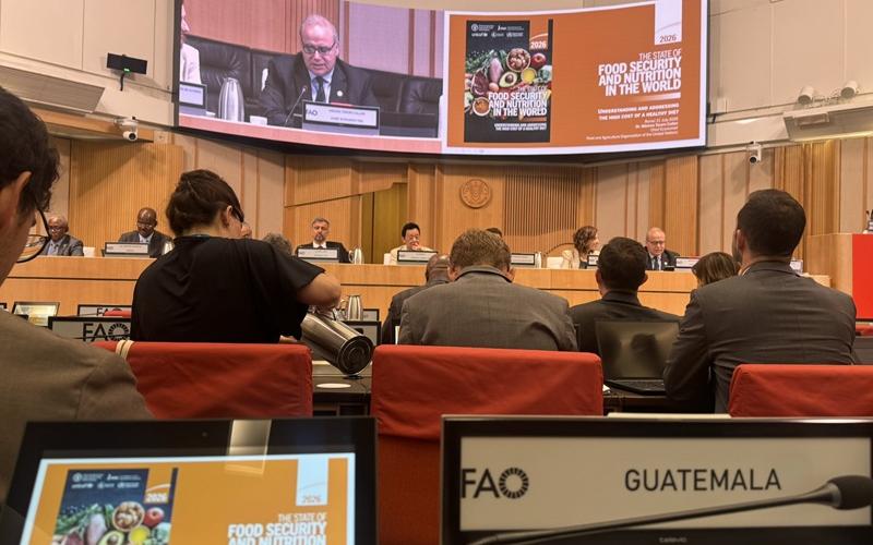nota de prensa
