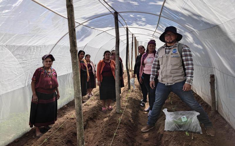 Resguardan agricultura familiar de Huehuetenango con macrotúneles