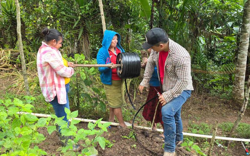 Implementan tecnología de riego y captación de agua en comunidades de Chiquimula