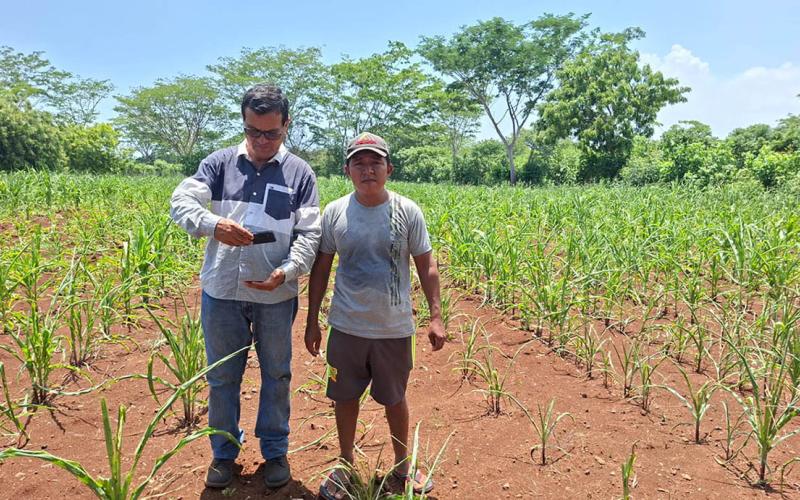Impulsan caracterización del sector agrícola mediante el levantamiento de datos del RUA