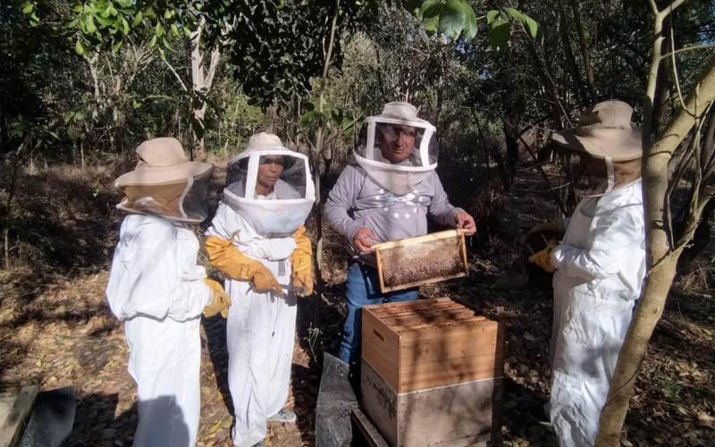 Producción apícola se fortalece en tres departamentos