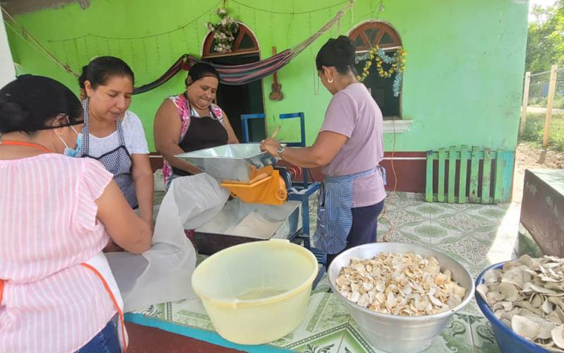 Mujeres de El Chal deshidratan y transforman alimentos
