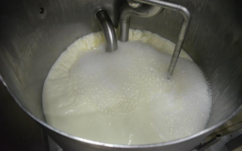 Nuevas disposiciones sanitarias fortalecen vigilancia de leche cruda 
