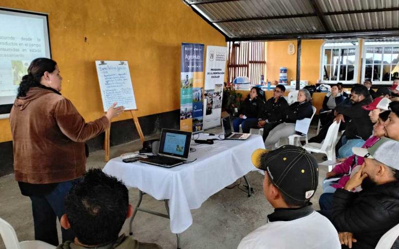 Optimizan capacidades de productores proveedores del PAE