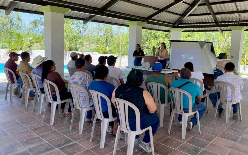 Productores de El Progreso fortalecen sus ventas con herramientas de marketing digital