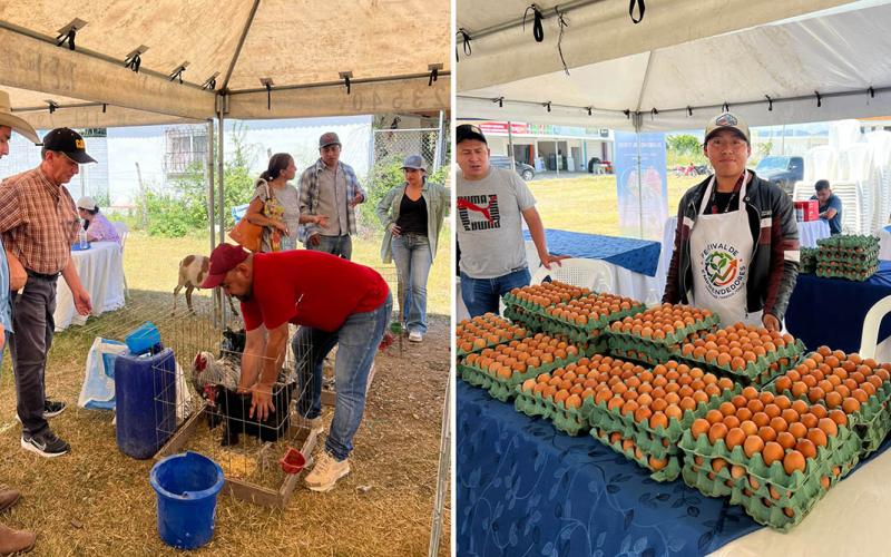Productos agrícolas y artesanales destacan en Feria del Agricultor en Jalapa