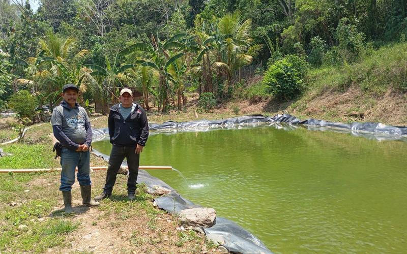 Promueven el uso del agua de estanques de tilapia para fortalecer la producción agrícola