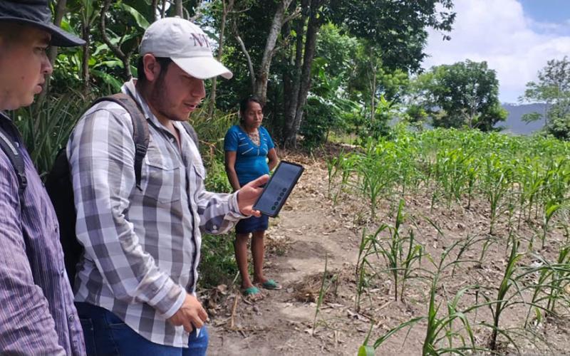 Promueven la caracterización agrícola mediante el RUA en Olopa