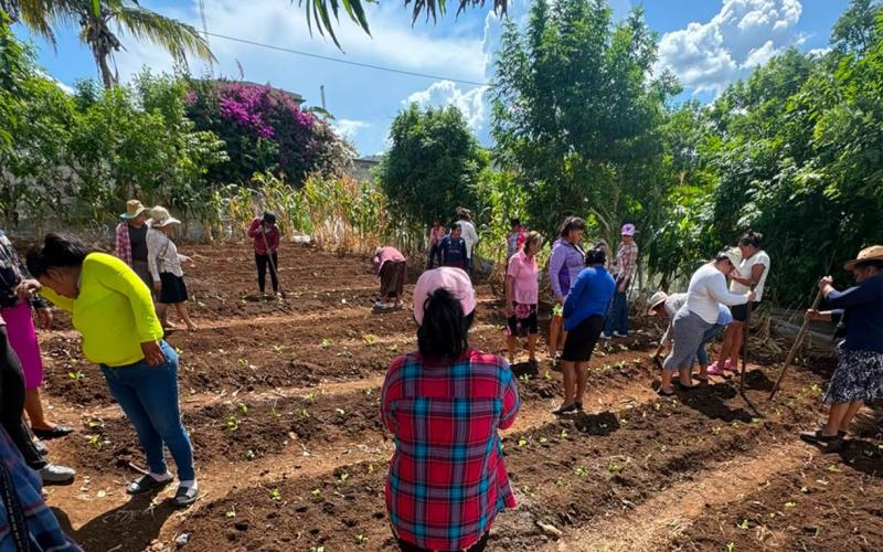 Promueven la seguridad alimentaria en CADER de Jalapa con cultivo de hortalizas