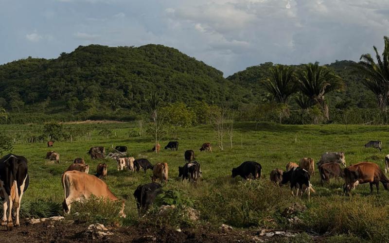 Recomiendan medidas preventivas ante condiciones climáticas de la semana