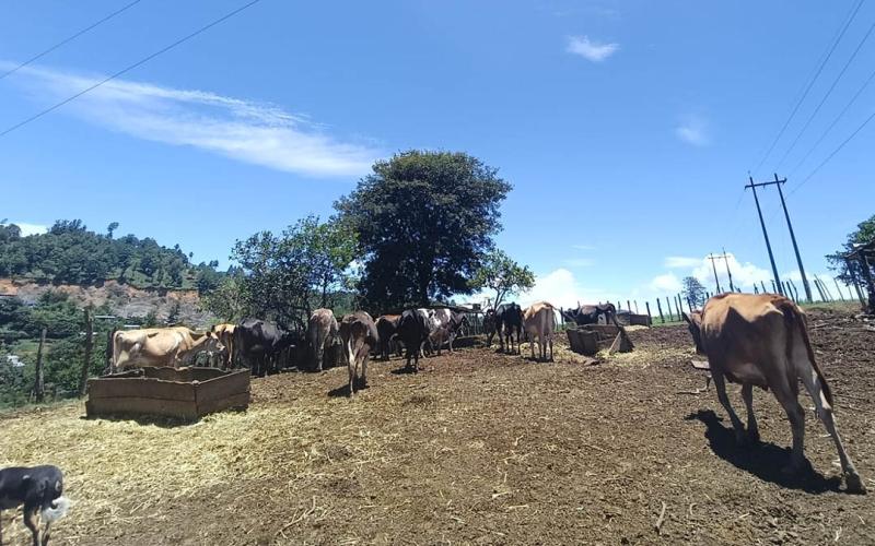 Recomiendan tomar medidas preventivas ante altas temperaturas y variación de lluvias en el país